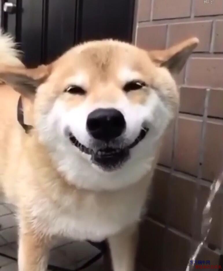 ΢Ц��