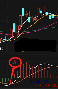 macd��������ͼ��