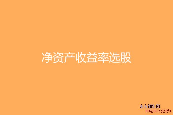 ���ʲ�������ѡ��