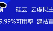 硅云拼团链接:硅云虚拟主机-云服务器拼团链接购买活动 - 站长笔记