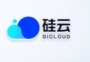 硅云1核2G香港云服务器怎么样?硅云学生机服务器购买方法解读 - 站长笔记