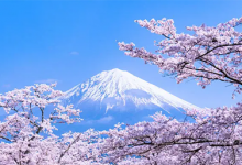 日本高清视频在线网站推荐,日本片在线看的免费网站精选 - 站长笔记