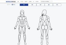 Musclewiki网站：中文健身网，一个健身的好网站 - 站长笔记